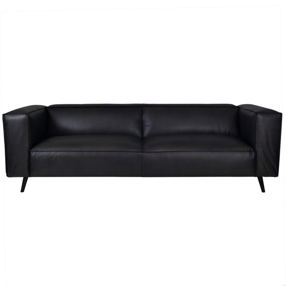 Fumee Leather Sofa